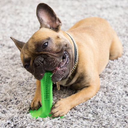 Size: M, Color: Blue upgrade vision - Silicone Pet Toothbrush Dog Tooth Stick Brush