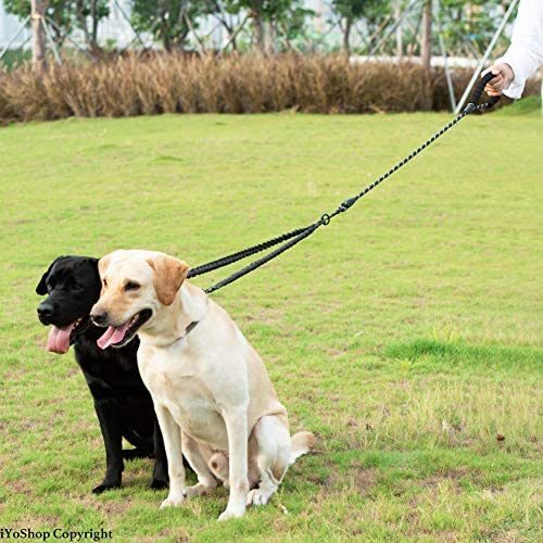 Dual Dog Leash; Double Dog Leash; 360 Swivel No Tangle Walking Leash; Shock Absorbing Bungee for Two Dogs